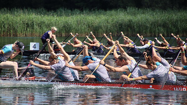 Zwei Drachenboot-Teams paddeln nebeneinander über einen See.