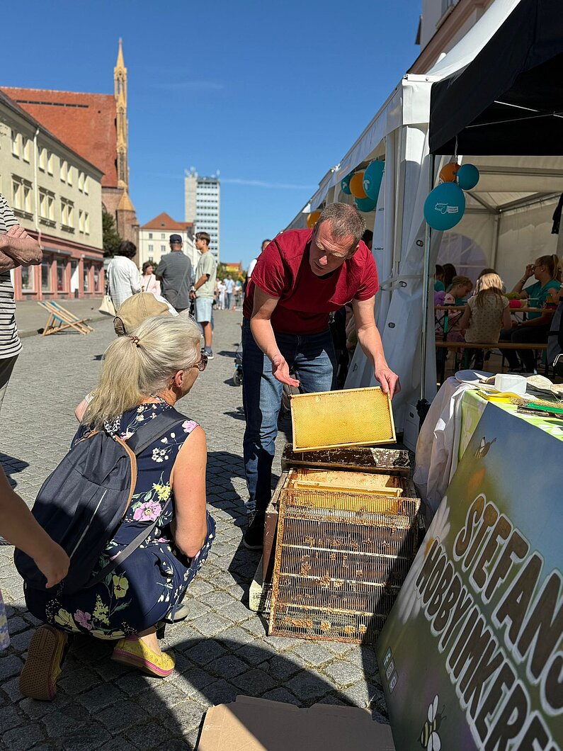 Imker Stefan Pot zeigt einer Frau Bienenwaben an seinem Imkerstand vor dem neu.sw Bastelzelt.